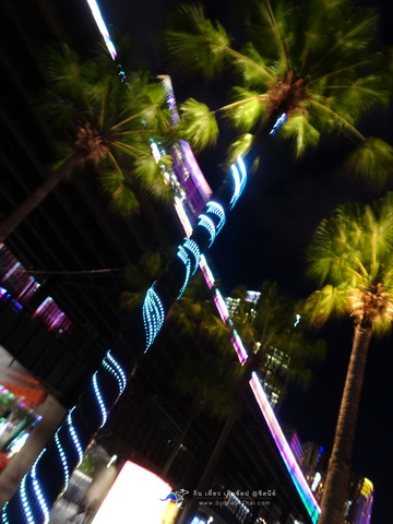 Sydney Vivid Tree hugger