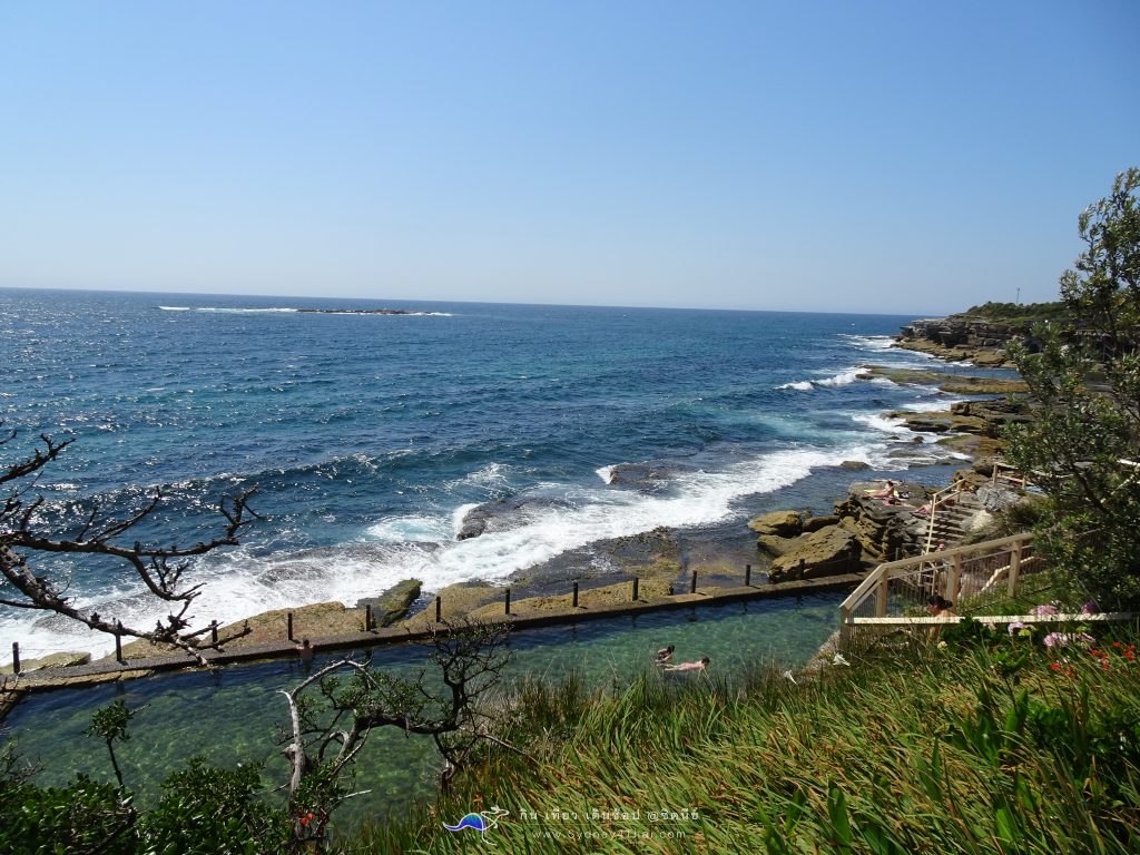 ทะเลซิดนีย์ McIvers Baths Coogee Beach 002
