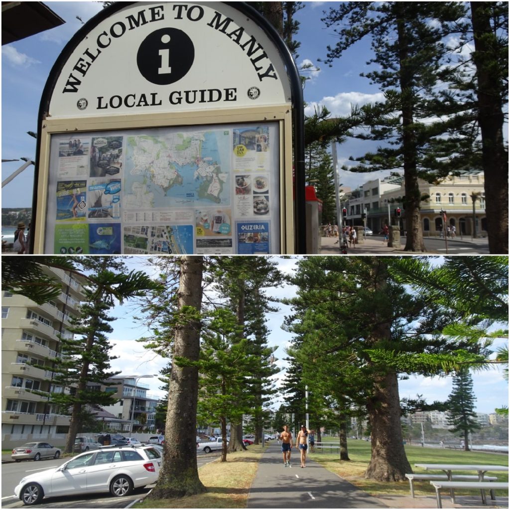  Welcome to Manly Beach 