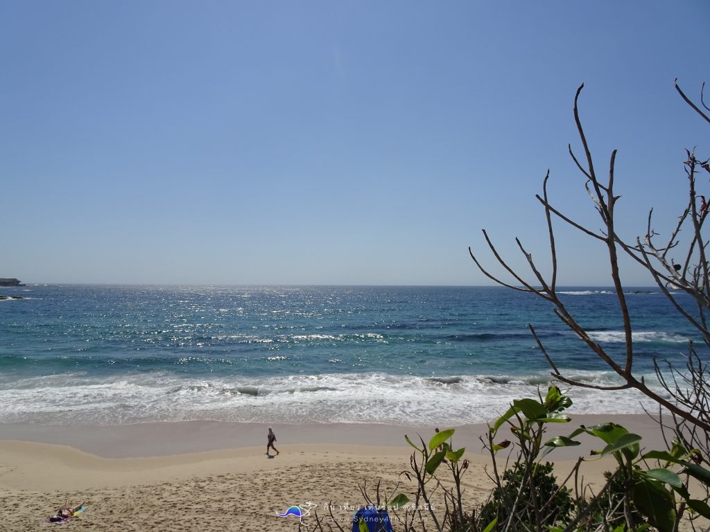  เที่ยวCoogee Beach เที่ยว ทะเล Coogee Beach @ ซิดนีย์ 001