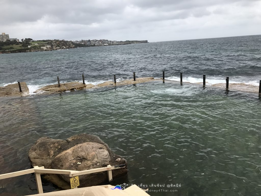 ทะเลซิดนีย์ McIvers Baths Coogee Beach 005
