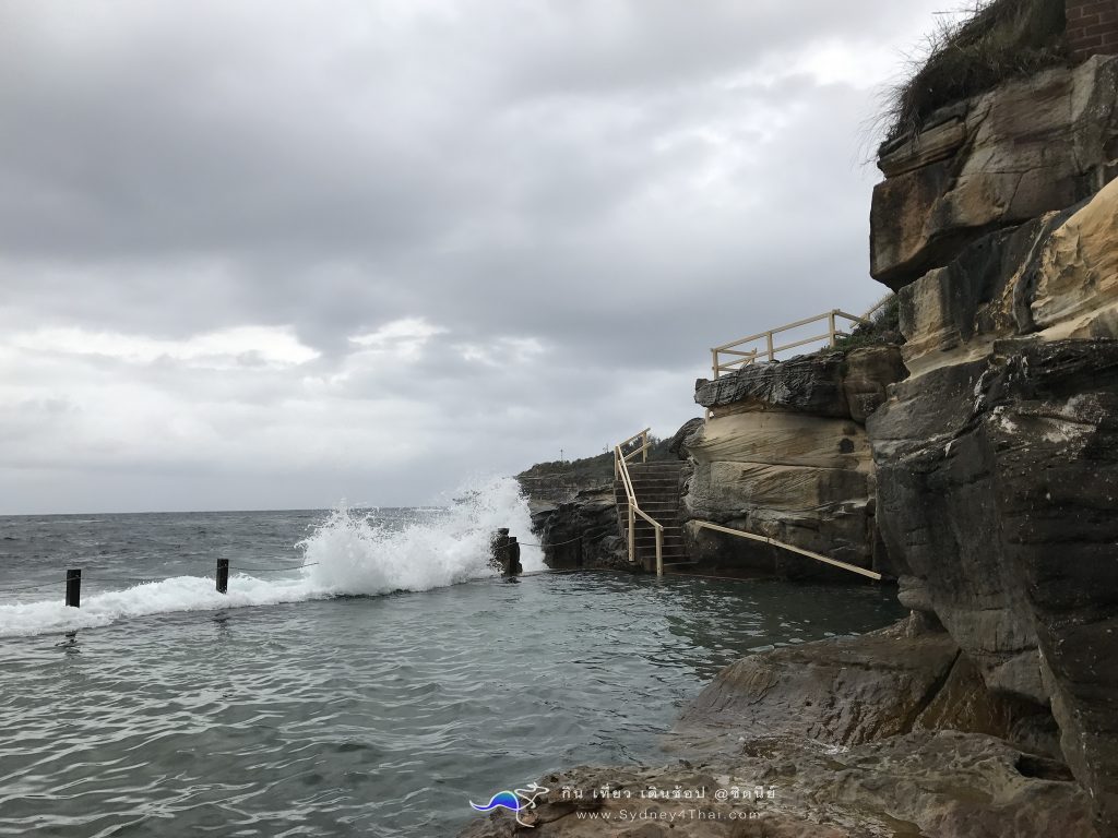 ทะเลซิดนีย์ McIvers Baths Coogee Beach 006