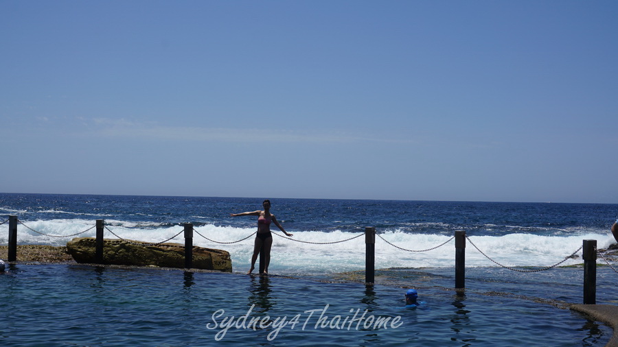 Sydney  เที่ยวหน้าเดือนมกราคมที่ไหนดี Ocean Pool  