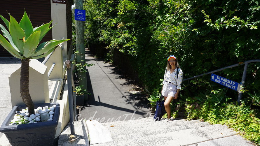 พาเที่ยว Parsley Bay สะพานสีขาว หาดเงียบสงบ วันหยุดนี้ไปเที่ยวไหน